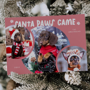 Santa Paws Pink Dog Photo Holiday Card