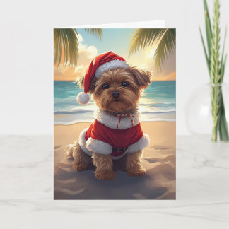 Santa Paws Takes the Beach – Shih Tzu Christmas Card