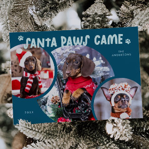 Santa Paws Teal Dog Photo Holiday Card