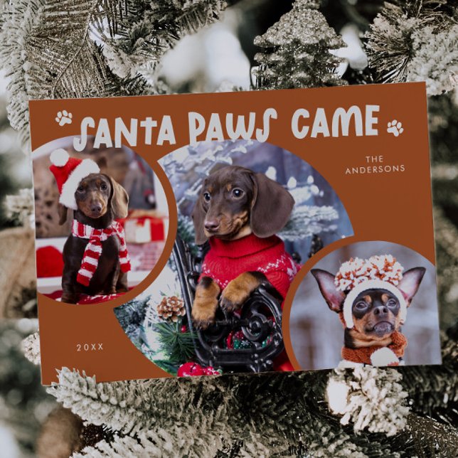Santa Paws Terracotta Dog Photo Holiday Card (Creator Uploaded)