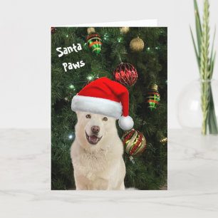 Santa Paws - The Happy Husky Greeting Card