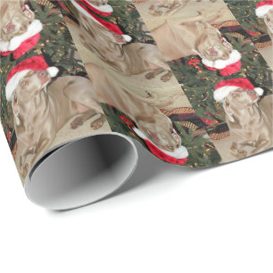Santa Paws - Weimaraner Style - ( 4SQ) - 3 Poses Wrapping Paper