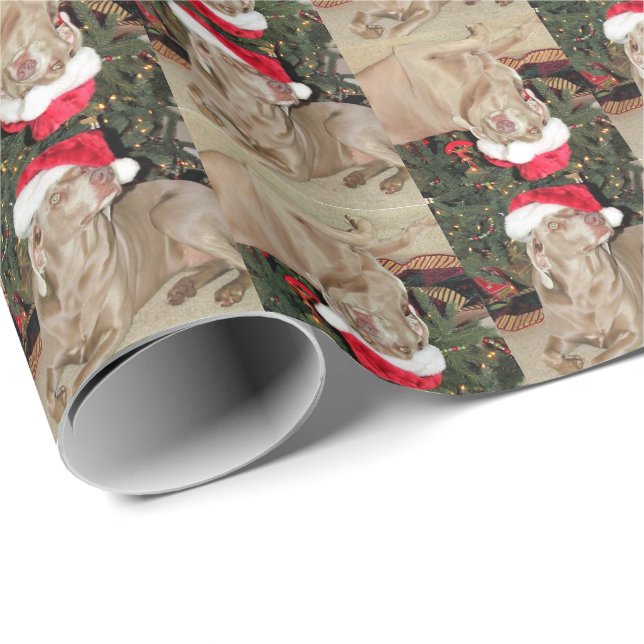Santa Paws - Weimaraner Style - ( 4SQ) - 3 Poses Wrapping Paper (Roll Corner)