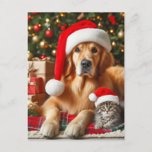 Santa Pets Golden Retriever and Kitten Christmas  Postcard