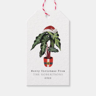 Santa Plant Christmas Gift Tags