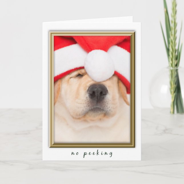 Santa Puppy No Peeking Holiday Card (Front)