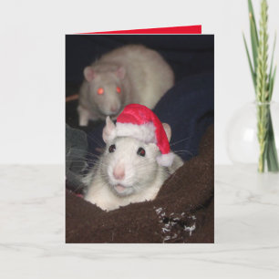 Santa Rat Christmas Card