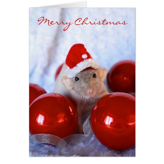 Santa Rattie Card