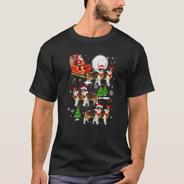 Santa Riding St Bernard Sleigh Christmas Santa Rei T-Shirt (Front)