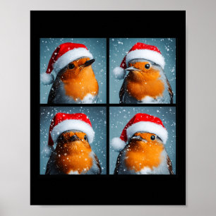 Santa Robin Redbreast Winter Bird Photography Chri Poster