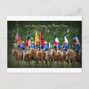 Santa Rosa Palomino Club Vernon, Texas Postcard