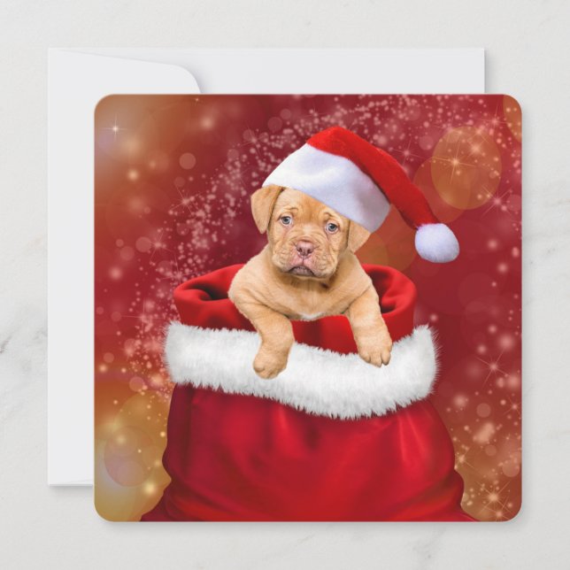 Santa’s Littlest Helper Holiday Card (Front)