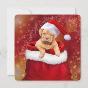 Santa’s Littlest Helper Holiday Card