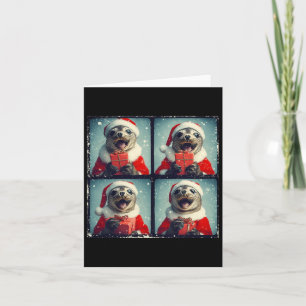 Santa Seal Ocean Animal Photography Sea Lion Chris Card
