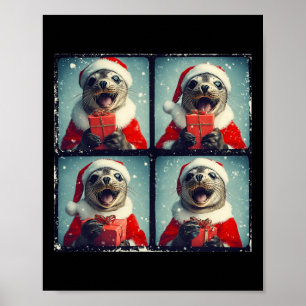 Santa Seal Ocean Animal Photography Sea Lion Chris Poster