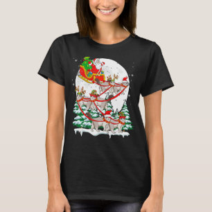 Santa Sleigh Reindeer Ragdoll Cats Xmas Cat Owner T-Shirt