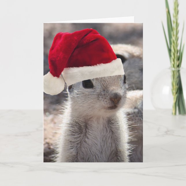 Santa Squirrel Christmas Card (Front)