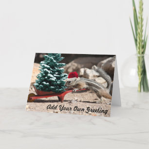 Santa Squirrel Elf Christmas Card