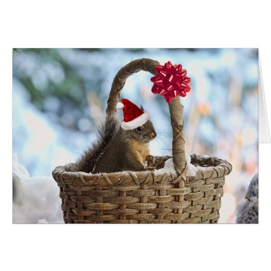 Santa Squirrel in Snow Card