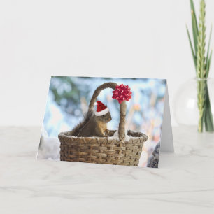 Santa Squirrel in Snow Holiday Card