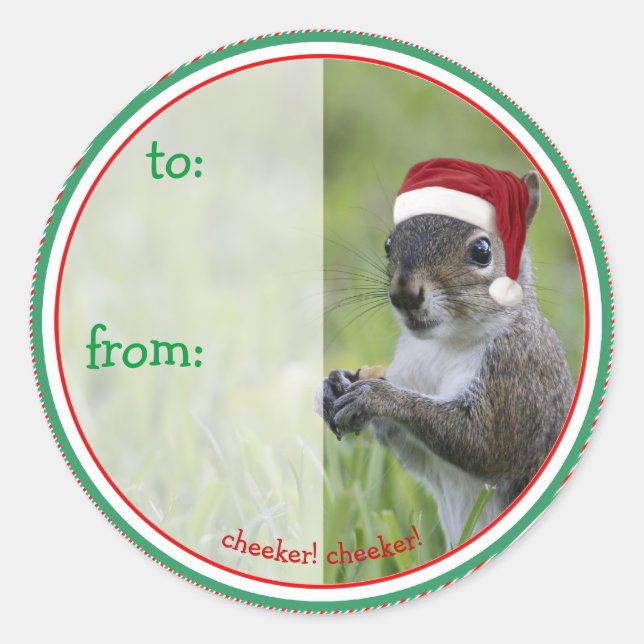 Santa Squirrel is Coming to Town for Christmas Classic Round Sticker (Front)