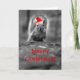 Santa Squirrel Merry Christmas Card