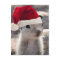 Santa Squirrel Postcard
