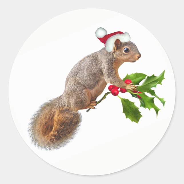 Santa Squirrel with Holly Christmas Stickers (Front)