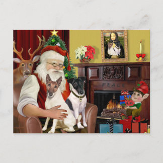 Santa - Two Smooth Fox Terriers Holiday Postcard