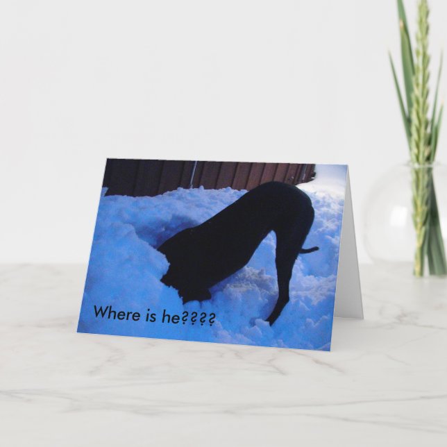 Santa -  Where is he???? Holiday Card (Front)