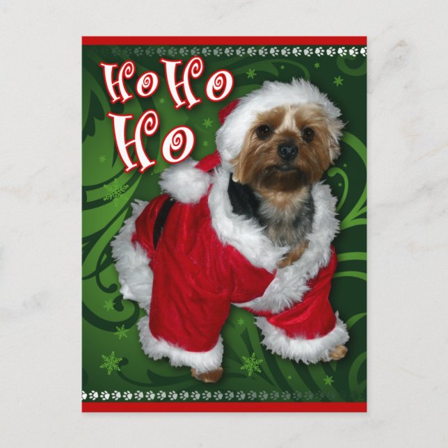 Santa Yorkie Postcard (Front)
