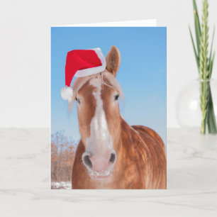 Santa's Belgian Helper Holiday Card