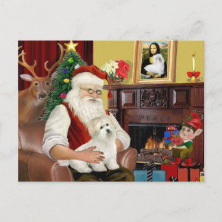 Santa's Coton de Tulear (#5) Holiday Postcard