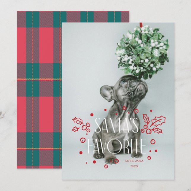 Santas Favourite Pet Photo Holiday Card (Front/Back)