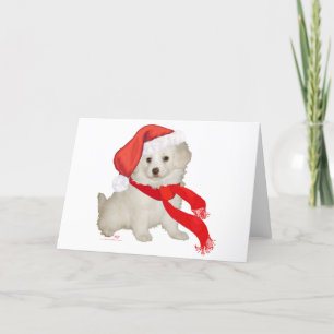 Santa's Helper Puppy Poodle / Bichon Mix Holiday Card