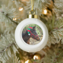 Santa's Horse Elf Holiday