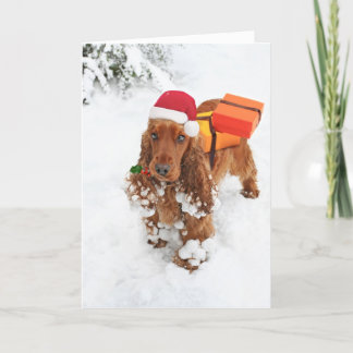 Santa's Little Helper Holiday Card