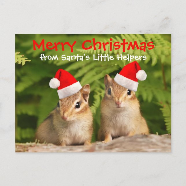 Santa's Little Helpers Baby Chipmunks Holiday Postcard (Front)