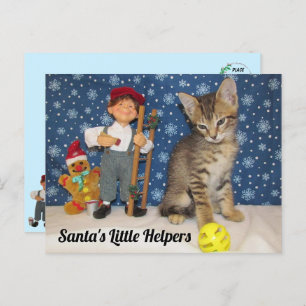 Santa's Little Helpers - Cat & Elf Postcard