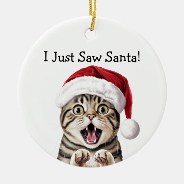 Santa's Little Kitten Helper Cat Ornament (Front)