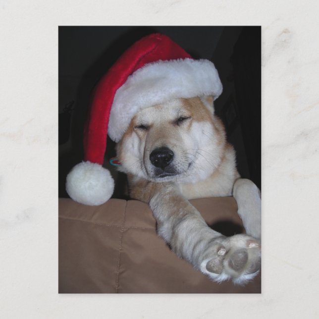 Santa's Little Shiba-Inu Helper Holiday Postcard (Front)