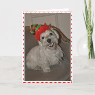 Santa's Little Westie Elf Holiday Card