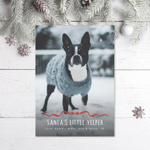 Santa's Little Yelper Cute Dog Christmas Photo Holiday Card