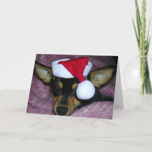 Santa's Littlest Elf Holiday Card