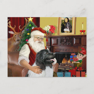 Santa's Newfie Landseer Holiday Postcard