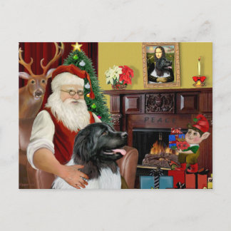 Santa's Newfoundland Landseer Holiday Postcard
