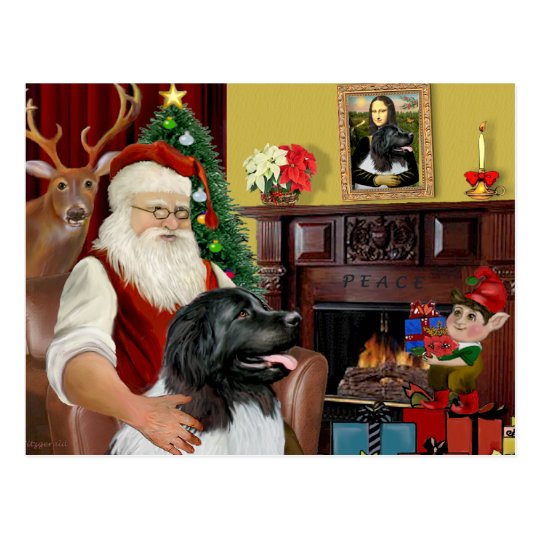 Santa's Newfoundland Landseer Postcard