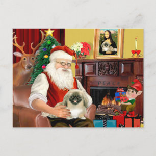 Santa's Pekingese Holiday Postcard