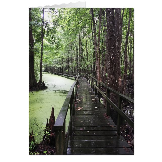 santee coastal reserve (Front)