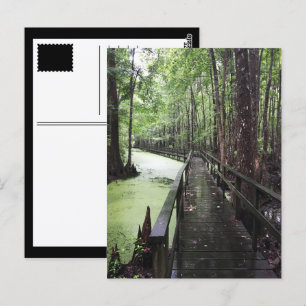 santee coastal reserve postcard